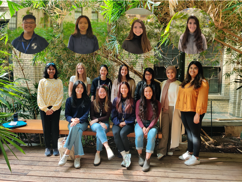 _images/immspire-team-photo-1.png
