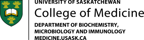 usask_Medicine_BMI_colour.png